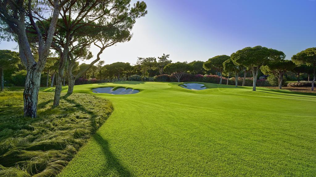 Albufeira Luxury Villa Eksteriør billede